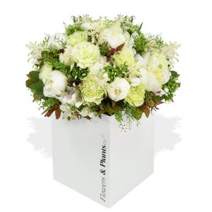 Heavenly Peonies