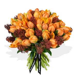Parrot Tulip Plush