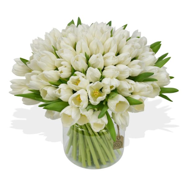 White Tulips